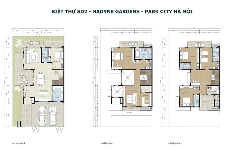 Mẫu song lập SD2 tiểu khu Nadyne Park City Hà Đông Mau-biet-thu-sd2-tieu-khu-nadyne-parkcity-hanoi