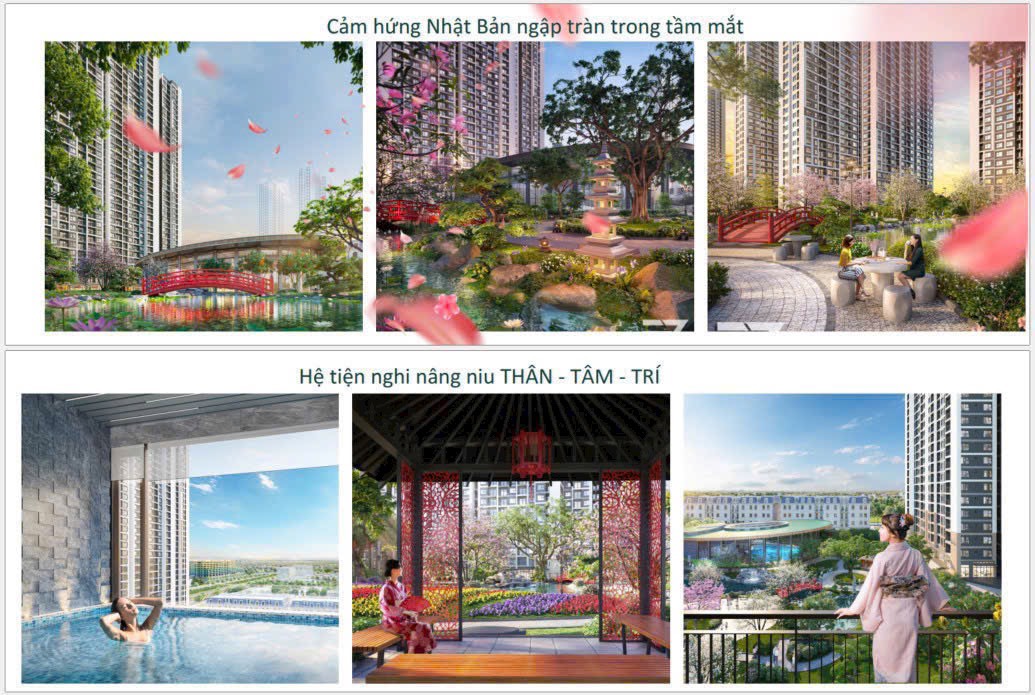 z4919101073216_c85e6ccaee9b8110f16e74485c313086